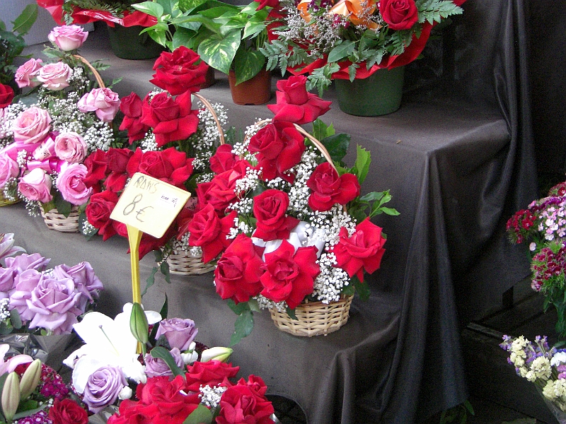 CIMG5572.JPG