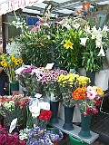 CIMG4040