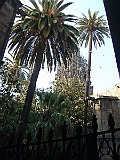 CIMG3942