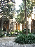 CIMG3952