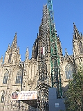 CIMG3959