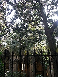 CIMG5421