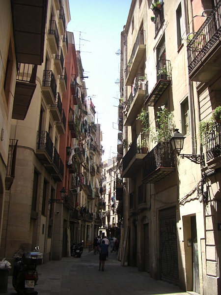 CIMG5521.JPG