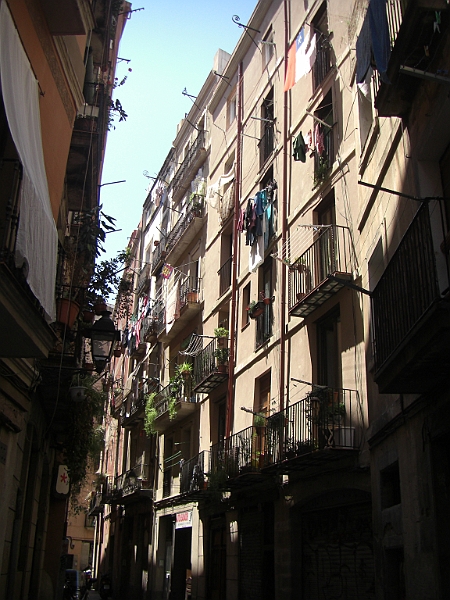 CIMG5522.JPG