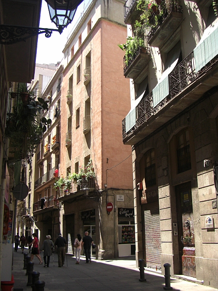 CIMG5527.JPG