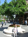 CIMG3326
