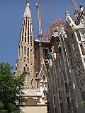 CIMG5394