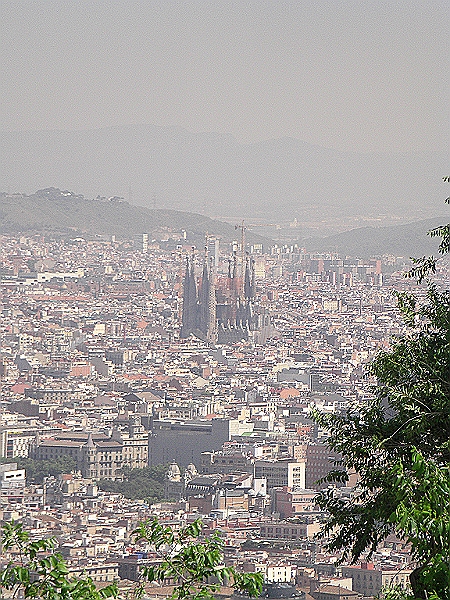 CIMG5870.JPG