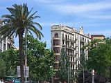 CIMG3566