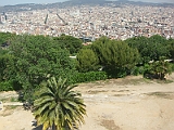 CIMG4249
