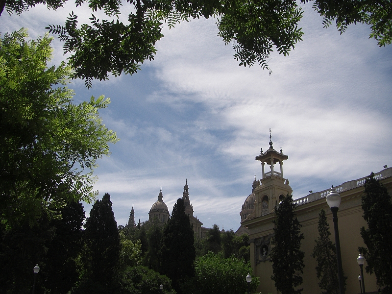 CIMG5009.JPG