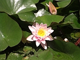 CIMG5918