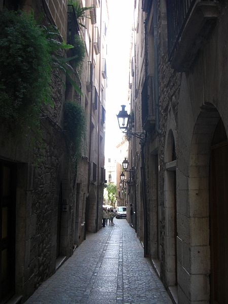 CIMG5196.JPG