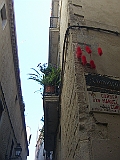 CIMG3748