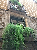 CIMG3757