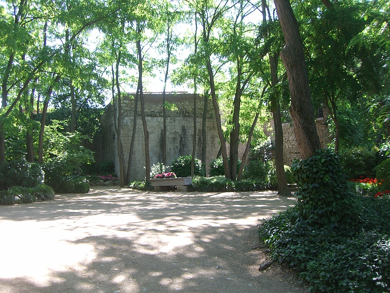 CIMG3715.JPG