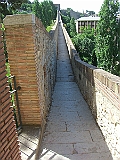 CIMG3734