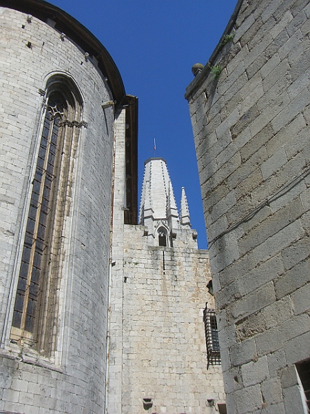 CIMG3688.JPG