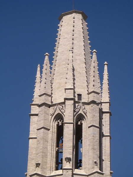 CIMG5145.JPG