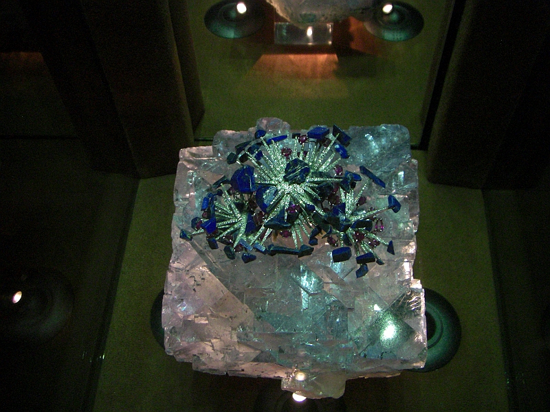 CIMG5261.JPG