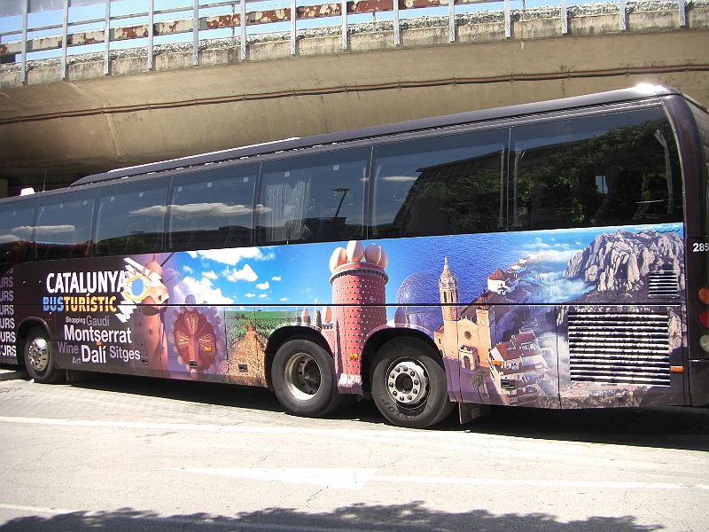CIMG5212.JPG