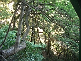 CIMG4080