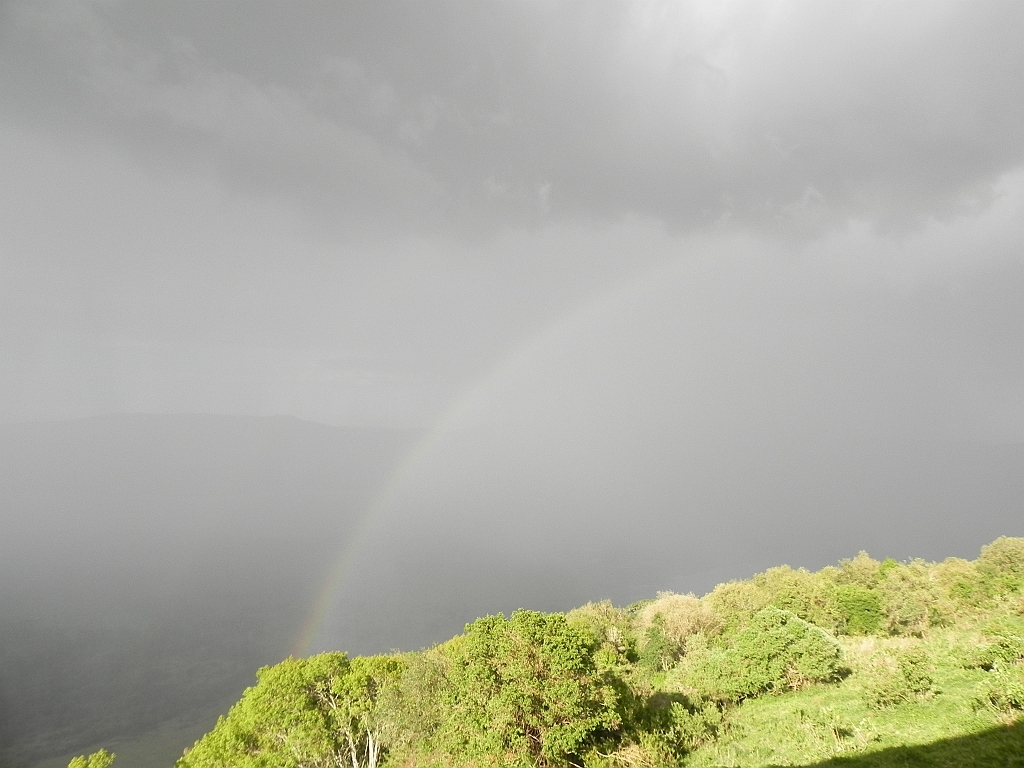 DSCN2106.JPG - after the rain