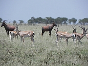 DSCN1555