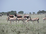 DSCN1557