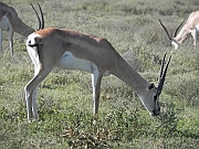 DSCN1833
