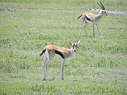 DSCN1951