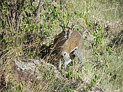 DSCN1424