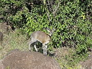DSCN1427