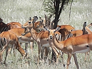 DSCN1564