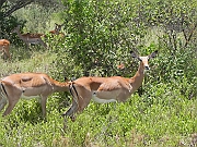 DSCN1579