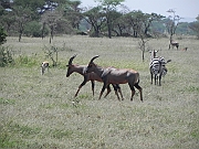 DSCN1547