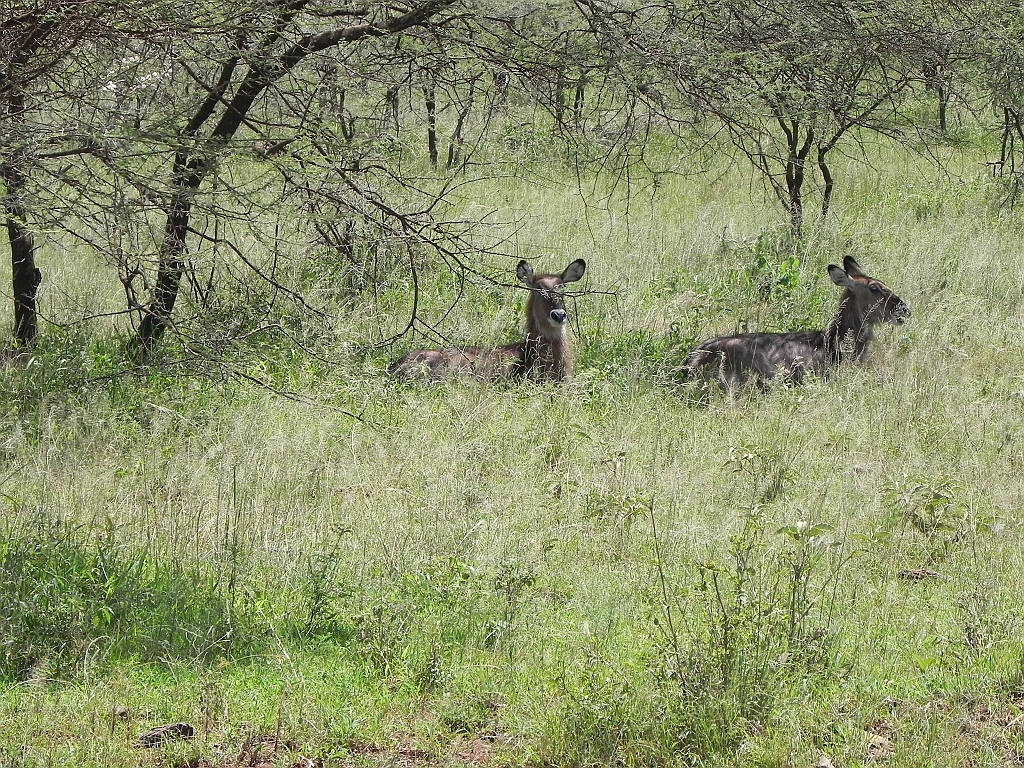 DSCN1598.JPG