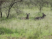 DSCN1598