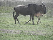 DSCN2061