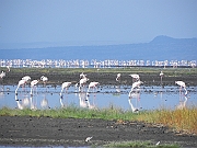 DSCN1273