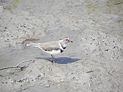 DSCN1693