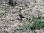 DSCN2279