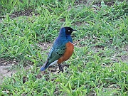DSCN2380