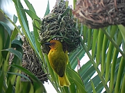 DSCN2635