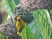 DSCN2643