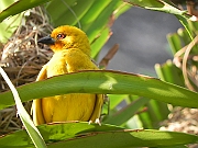 DSCN2663