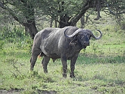 DSCN1746
