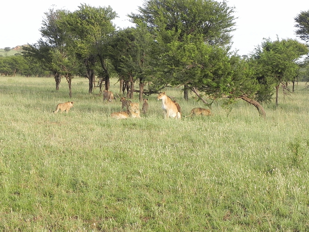 DSCN1476.JPG