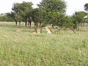 DSCN1476