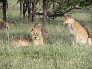 DSCN1478